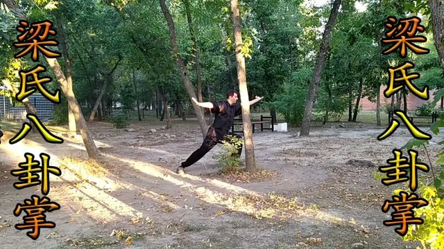 Восемь старых ладони. Лян ши багуа лаобачжан