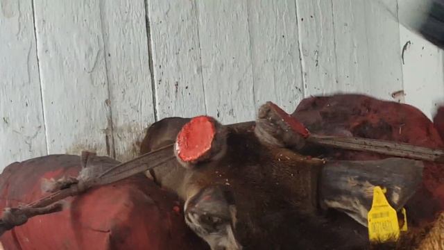 Сделай Сам для Красоты