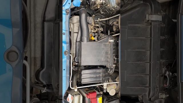 Embrace The Spirit Of Suzuki