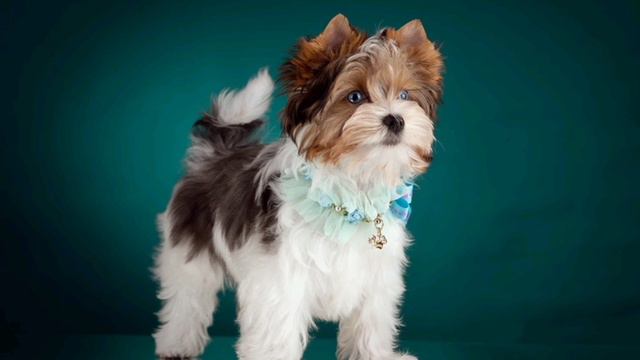 Fbecd43ed035772c4e954e305bc4f584