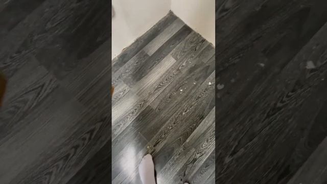 Bae00f262ccc9a338a47dfc570e60b47