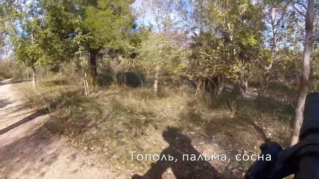 Пляжи Альбир Альтеа Коста Бланка Испания Albir Beach Altea Spain Costa Blanca