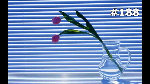 87adb979a91474d1c27f65f554c1a55c