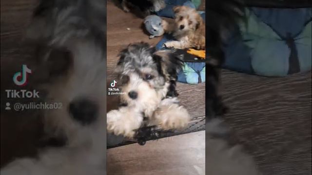 325e385b4ea237c22193a953addc9c1e