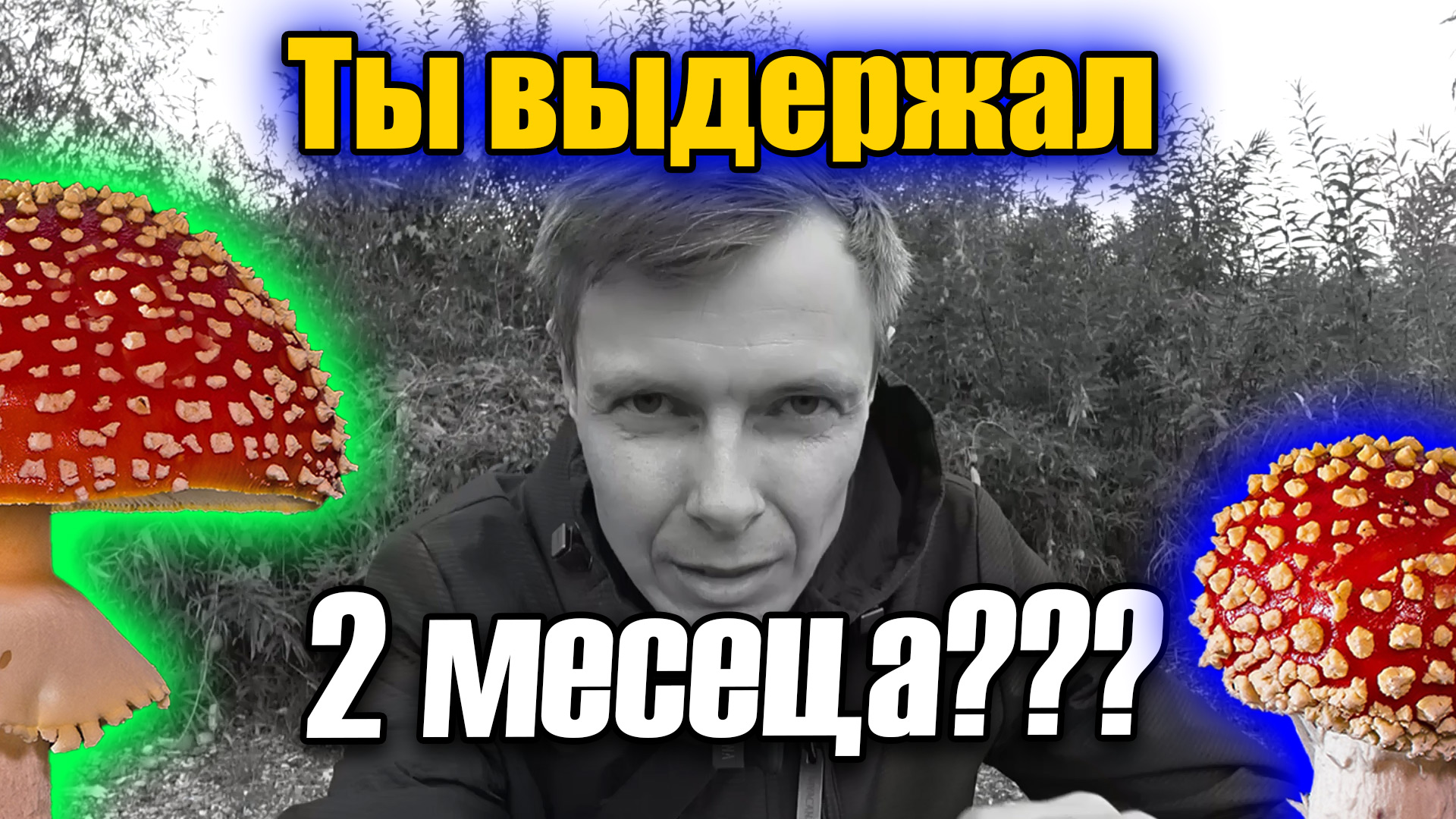 Мухоморная программа