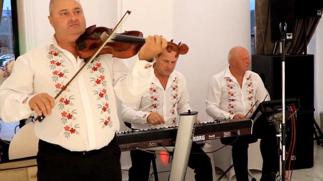 STEFAN DE LA TISA VOL 3 2022 NUNTA INVIRTITA