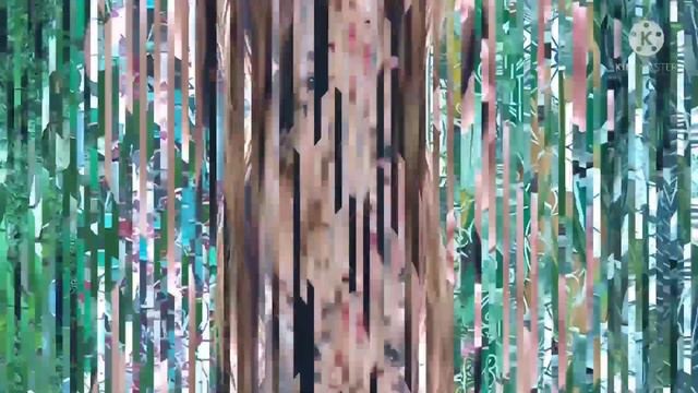 PLANT WITH ME : PLANTING EPISCIA FROM SHIPPING AND CARE TIPS #episciagardentour #Episciaupdates