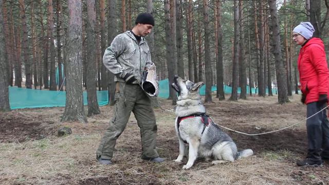 Тренинг по защите в Первоуральске.СУ Ювелир...8900