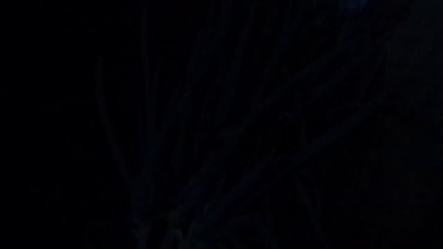 Pocket Camera Sony Cybershot DSC W830 20.1 MP Zoom Test Night Vidio