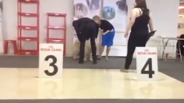 E882dc2391ac2a1ee7ca474999eef307