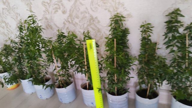 0a27fe2e48d49f31d2e00c37e5e42342