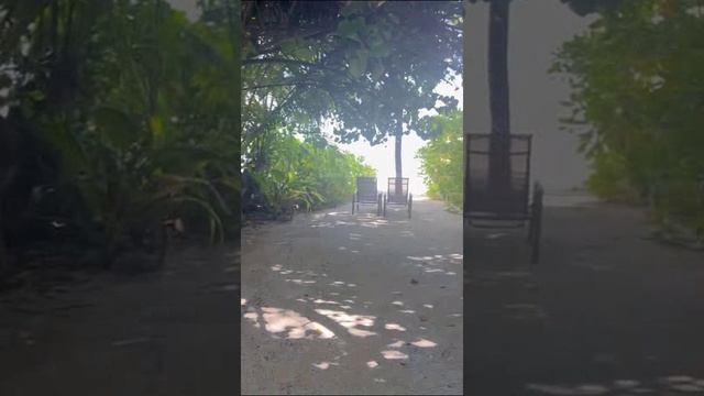 Мальдивы. Maldives. 马尔代夫。 129