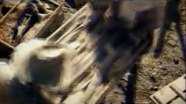 Реклама Hyundai Getz 2003 год