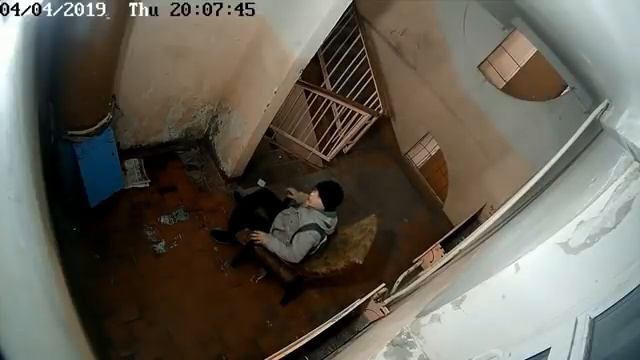 Один день из жизни подъезда снято на скрытую камеру