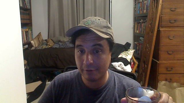 Jameson Ginger And Lime Canned Cocktail Review