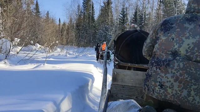 1 марта 2021 г.