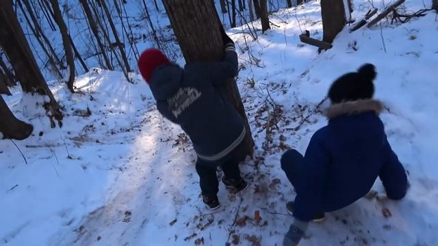 Тренировочная трасса Малиновая гряда Крепче стали Нижний Новгород