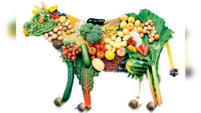 Есть или не есть: вегетарианские продукты и заменители мяса