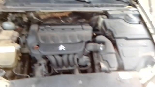 Танцы с посыпкой