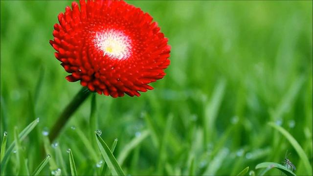 ЛЮБИ ТОГО,КОГО ОМЫЛА...