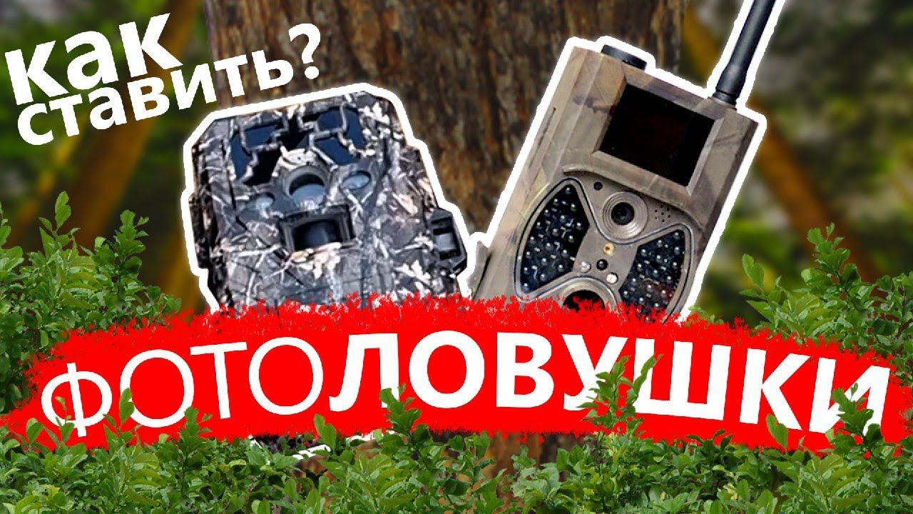 Как ставить фотоловушки?