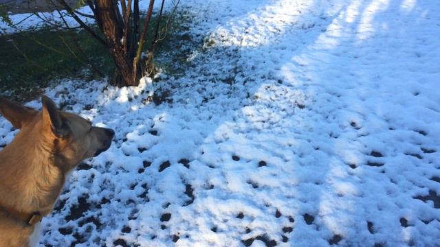 Москва. Утро 12 мая 2017 года