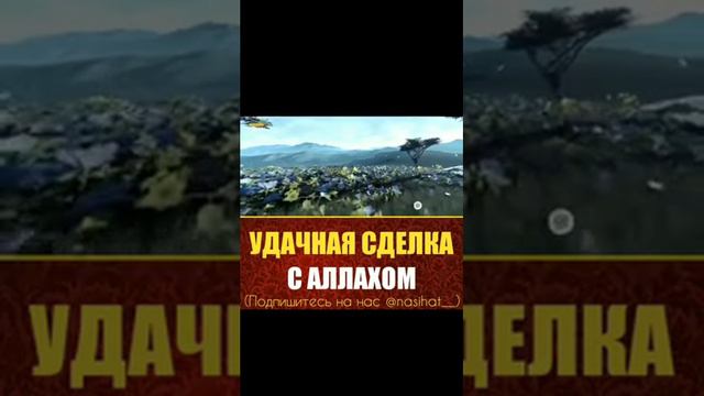 Удачная сделка С Аллахом