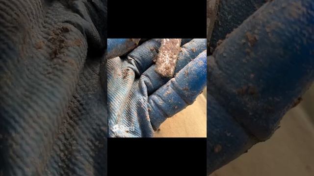 посеребренная конина с узорами! одна из самых красивых) #металлоискатель #metaldetecting #deus