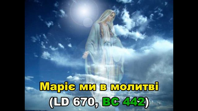 8b92208a172dd44abe3a05c896a077f5