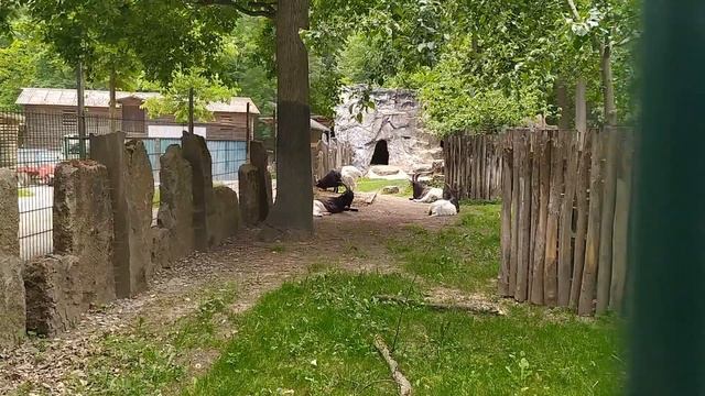 Wildpark Schweinfurt Nach Der Quarantäne 2020