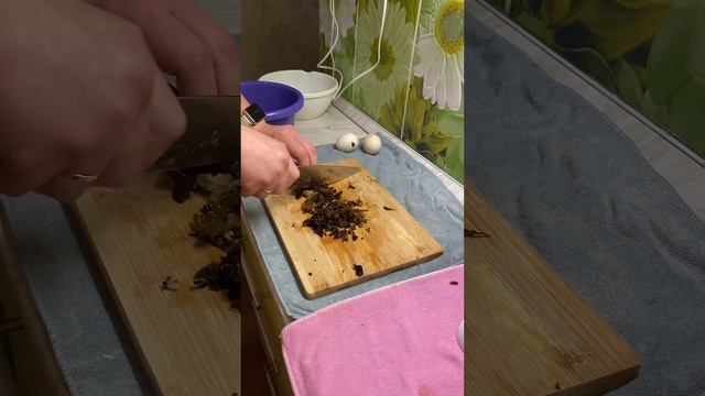 5337c9473f807de42e19c1bcb39d24ce