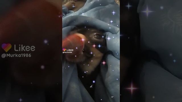 люблю конфетки