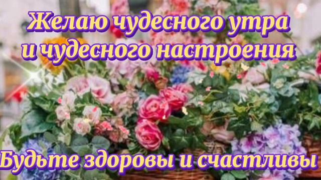 Доброе утречко. Желаю  отличной  погоды и замечательного  денёчка.