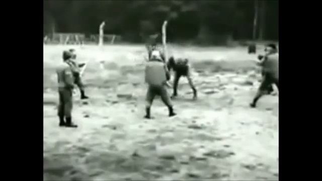 1378b393ac658ba5b0c1caaf5e477e73