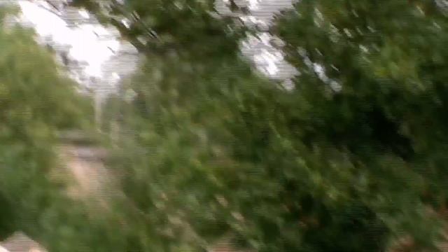 Всё интересно | Как молоды мы были... Прогулка по г. Новозыбков