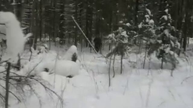 4f9a7d8d09639f215f16b41c373f5e97