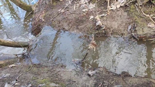 Ручей, купель, журчание воды 28 апреля 2022 г.