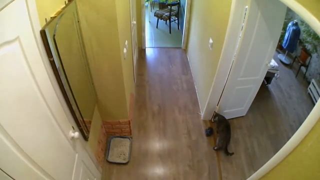 083dbc193ffc794d2fe3c61e349a8731