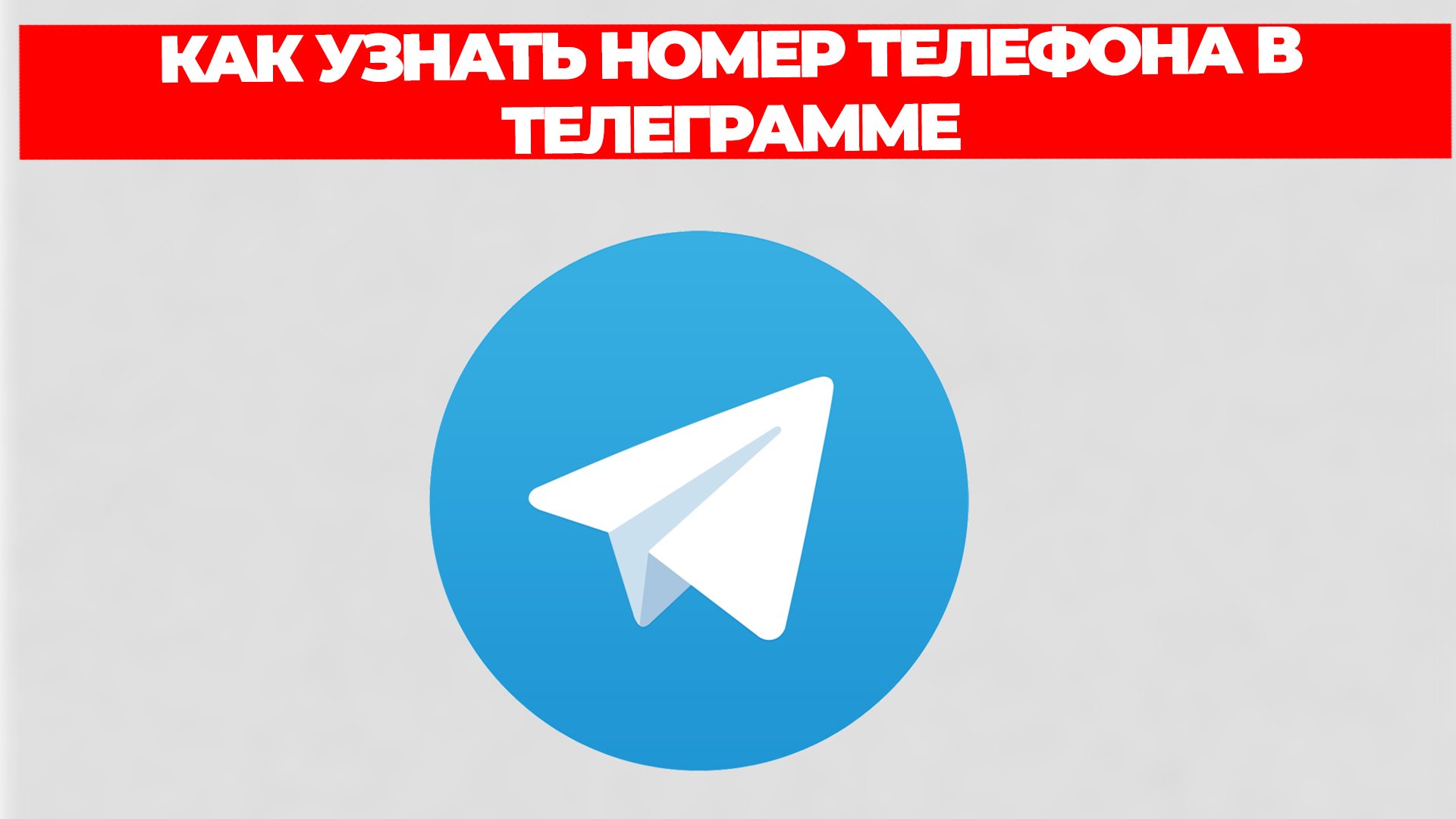 Всезнающий Енот