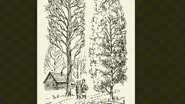 Настя и Митраша