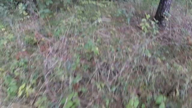 A9e43493e1b8ff3a75664f1e8d12092d