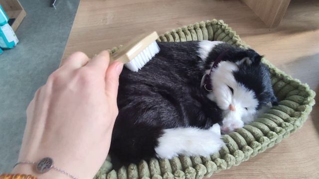 Ec1f42d51769fbce216bd67f1cb77cdd