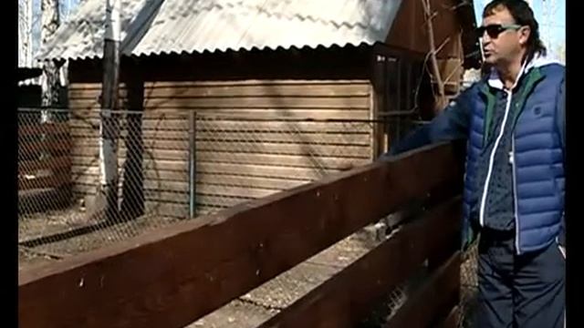 Пасхальное яйцо от страуса