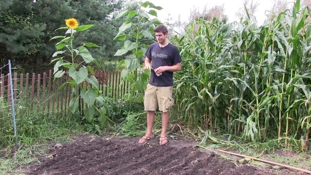How To Plant A Fall Garden & What Is Good To Plant | MIgardener