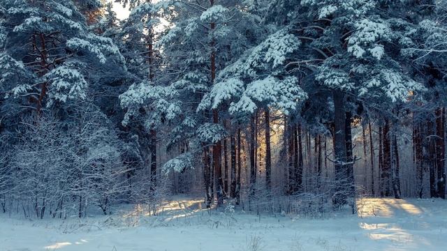 0c57f9b47b5affd5a75b0003a7cdb939