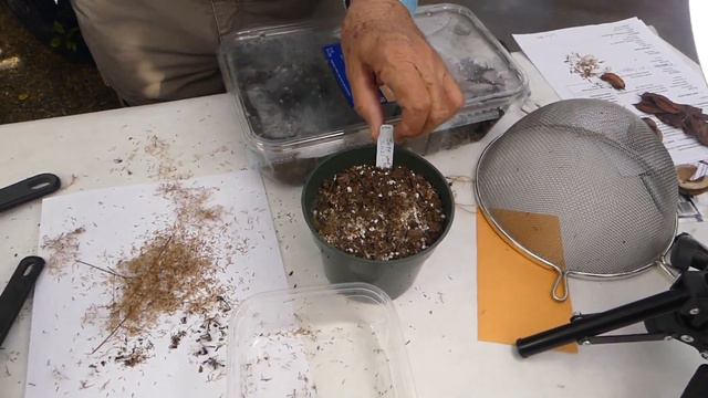 Collect, Prepare, And Sow Native Seeds With Dr. Larry Mellichamp