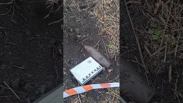 Некоторые результаты работы саперов с металлоискателями Альфамарин 5000.
