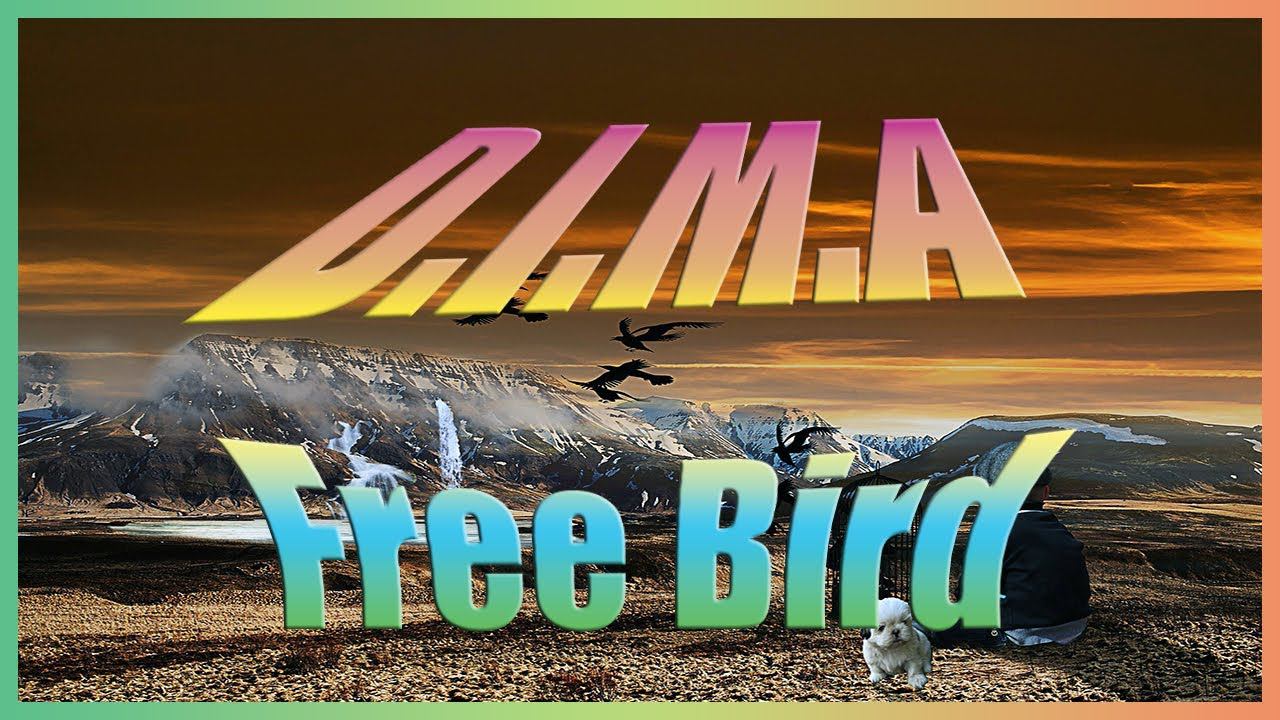 D I M A - Free Bird