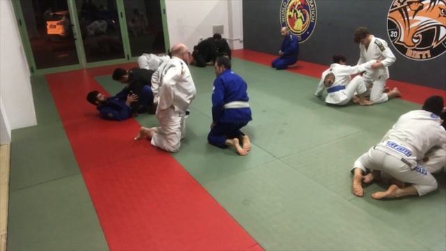 STAGE BJJ CON IL MAESTRO A.TOMEI Il 17 Gennaio 2019 Alla Palestra XTREME GYN Parte Prima