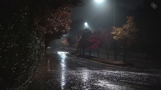 Тихий дождь на уединенных окраинных дорогах, белый шум, подходящий для преодоления бессонницы